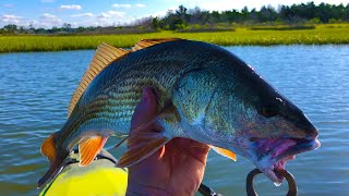 Aggressive REDFISH  Hitting Top Water