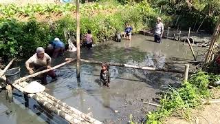 NGOYAK BALONG NANGKAP IKAN RAME RAME #nangkapikan #ikan #ikanhias