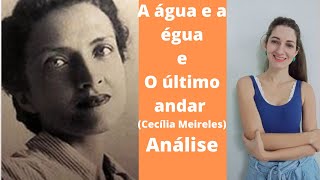 Análise dos poemas A água e a égua e O último andar de Cecília Meireles