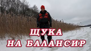 Как поймать ЩУКУ на БАЛАНСИР!  Щука может клевать так ПОД КАЖДЫМ КУСТОМ!