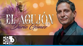 El Agujón, Dario Gómez - Video