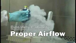 Proper Airflow (Biosafety Cabinet)