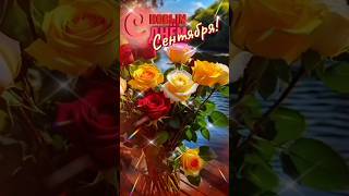 🌹🌹🌹💝 С НОВЫМ ДНЁМ СЕНТЯБРЯ#ШЛЁТ ЛЕТО ВСЕМ БУКЕТ  из ЧУДО-РОЗ#Пожелание#RESPECT #SHORTS 🌹🌞🌿