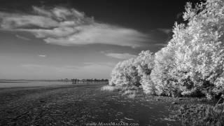 life in florida, august 2016  [mark marano]