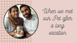 When we met our pet after a long vacation | Neil |Malayalam Vlog | Moment #1