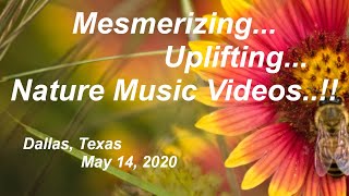 Relaxing Music Video Using The Canon EOS System (North Texas May 14 2020)