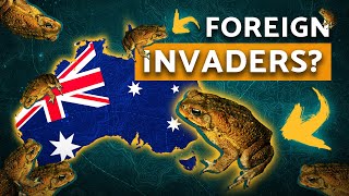 Why This Toad Destroyed Australia’s Agriculture Industry