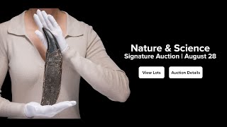 LIVE: Nature & Science Signature Auction 8190