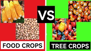 Food Crop Vs Tree Crop Farming | Which Is More Profitable?