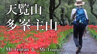 【埼玉県飯能】天覧山 多峯主山・500万本の曼殊沙華 巾着田【シニア夫婦のゆる登山日記No117】