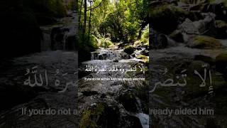 تلاوة خاشعة ومؤثرة للقرآن الكريم تريح القلوب للشيخ ماهر المعيقلي #القرآن_الكريم #quran#ماهر_المعيقلي