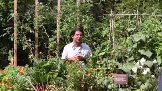 Groundbreaking Food Garden at Toronto Botanical Garden