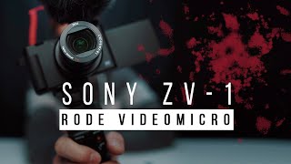 Sony ZV-1 и Rode Videomicro. Лучший набор оборудования для блогера или как я купил мыльницу за 85к.