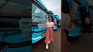 Story WA cinematic bus ada modelnya dj rest of my life versi hadroh