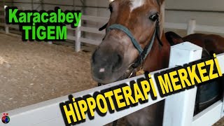 TİGEM Hippoterapi Merkezi Karacabey