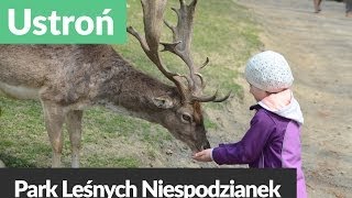 Leśny Park Niespodzianek Ustroń