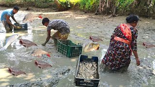 Catching Fish From Muddy Water | Best muddy water Fishing | Smart Boy Catching Fish In Mud water