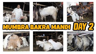 Mumbra Bakra Mandi Day 2 | Pathan Goats 🐐| Mumbra Goats|Day 2 |Live Update |Saste bakre|Eid 2022