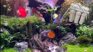 Complete guide for RO water for fish tank  - all you need to know about reverse osmosis water system