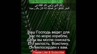 Коран Сура Аль Исра | 17:66 | Чтение Корана с русским переводом | Quran Translation