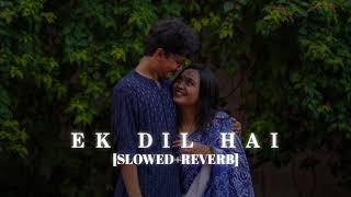 Ek Dil Hai  Lofi  [Slowed Reverb] - Akshay Kumar || Kumar_MT 🎧