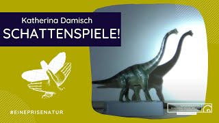 Schattenspiele!  - Katherina Damisch