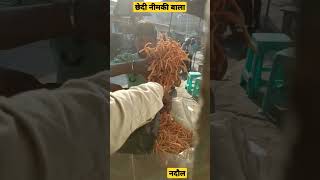 छेदी निमकि बाला नदौल 🎧🔥| Famous Viral Nimki Bala Nadaul #viral #nimki