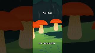 Kifli Çörəyi Yeməyin 🤢 #shorts #short #shortvideo #çörək