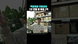 55살에 사업 실패하고 온라인 사업에 도전한 대표님