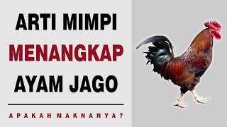 Arti Mimpi Menangkap Ayam Jago