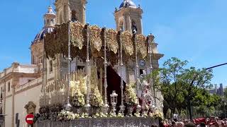 RESUMEN DOMINGO DE RAMOS CÁDIZ 2023. Borriquita, Penas y Despojado.