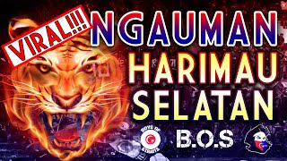 VIRAL!!! NGAUMAN HARIMAU SELATAN | BOS | JDT 2020