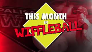 THIS MONTH IN WIFFLEBALL (episode 66)