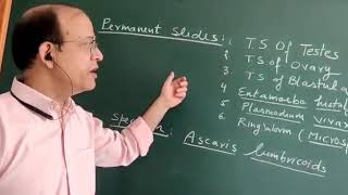 Class 12 practical: permanent slides and specimens