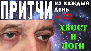 Притчи на каждый день. Владимир Бутромеев. №71. Хвост и ноги