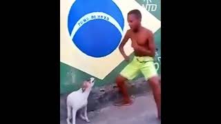 Perro Bailando