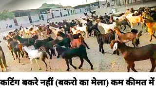 230/किलो {कटिंग बकरे नहीं / बकरो का मेला} 230/किलो / @How to start goat/farming #lowprice #cutting