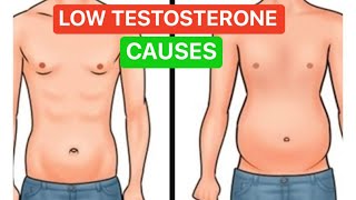 LOW TESTOSTERONE Low-T SIGNS and CAUSES