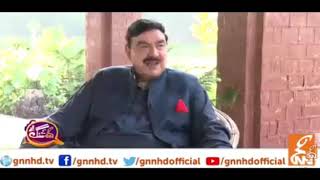 Sheikh Rasheed on cats