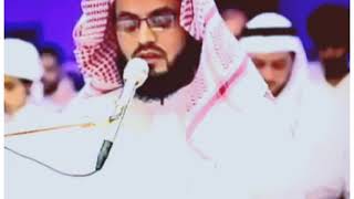 Beautiful Reciting Quran || Surah Dukhanسورة الدخان || Raad Muhammad Al Kurdi