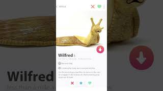 Swipe right for Wilfred at HardShellSlimySnail.com