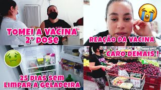 25 DIAS SEM LIMPAR A GELADEIRA FICOU BEM SUJA | tomei a 2° dose da vacina | rotina de dona de casa