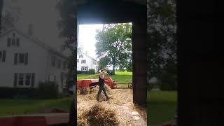 Rebaling Broken Bales With Stationary New Holland 269