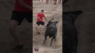 😱👉▶️ INCREÍBLE ARRANCADA DE ESTE TORO BRAVO EN Albalat p. taurina 2023 short #toros #arrancada #toro