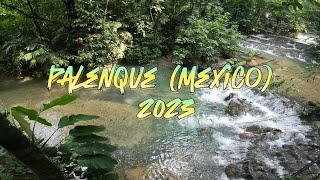 Palenque (Mexico) 2023