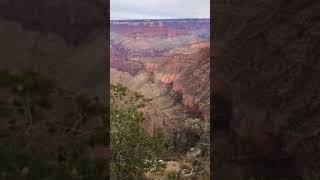 Grand Canyon PAGEIO’S Mule Ride 1