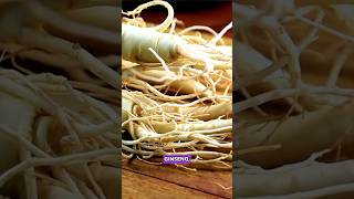 How Many Kinds of Ginseng Do You Know?