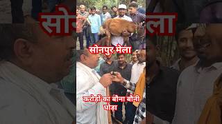 सोनपुर मेला में यही है करोड़ों का बौना बौनी घोड़ा 😱#viralghora #trending #sonpur #horsemarket