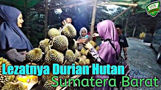 JAJAHIN DURIAN HUTAN SUMATERA BARAT