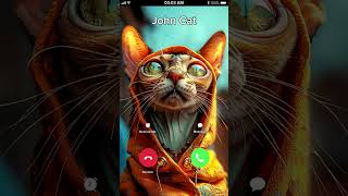 John Cat Calling ♥️😭 at 3AM 🐯